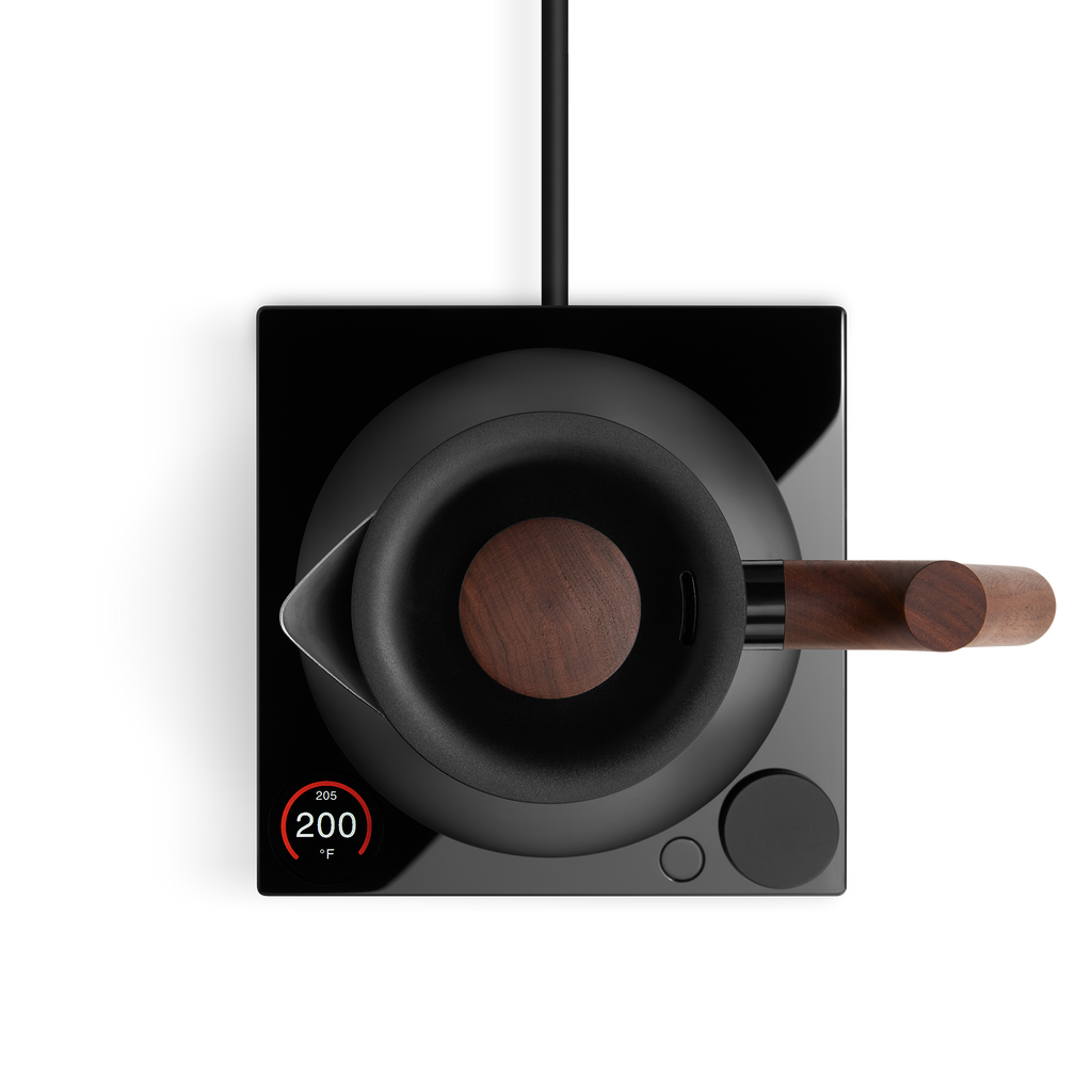 Corvo EKG Pro Electric Kettle | Studio Edition Simple Brewing Accessory