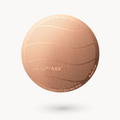 AeroPress Gold Tone Filter - Standard Easy Travel Coffee Press