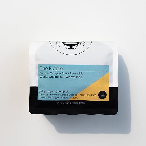 The Future 12 oz Flavorful Specialty Coffee Beans