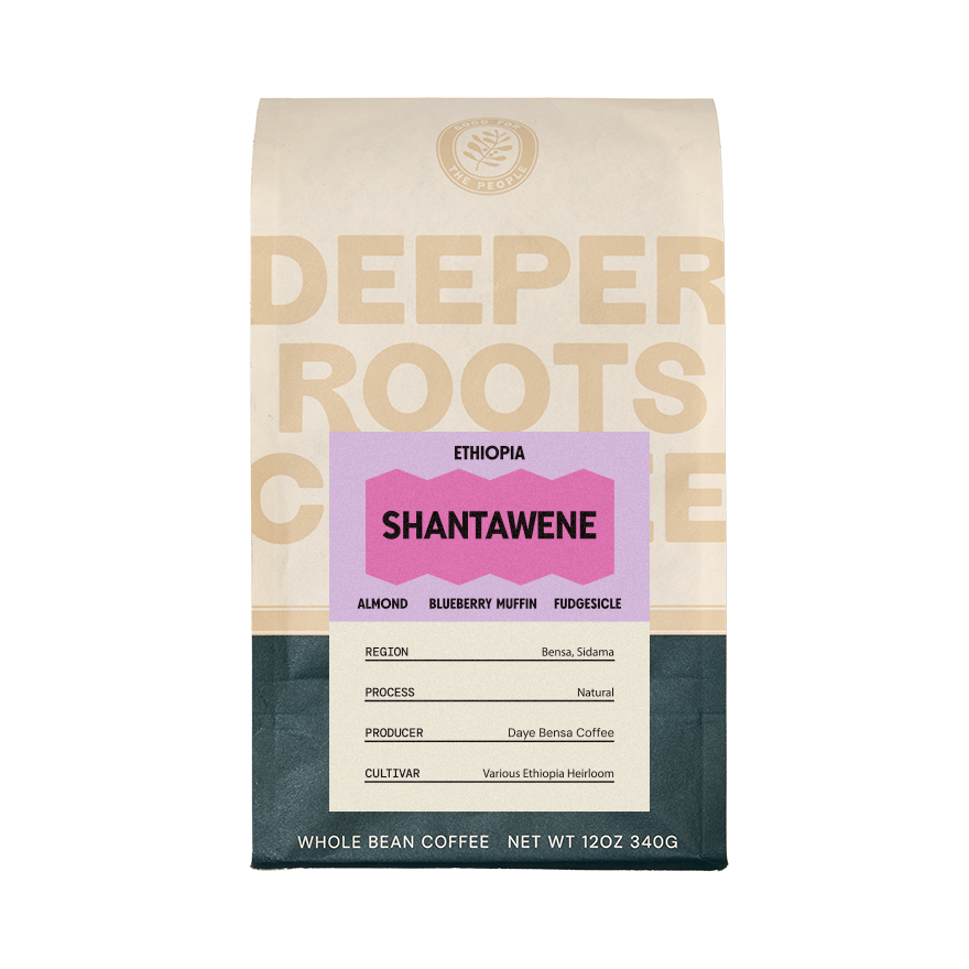 Ethiopia Shantawene 12 oz Premium Origin Coffee Beans