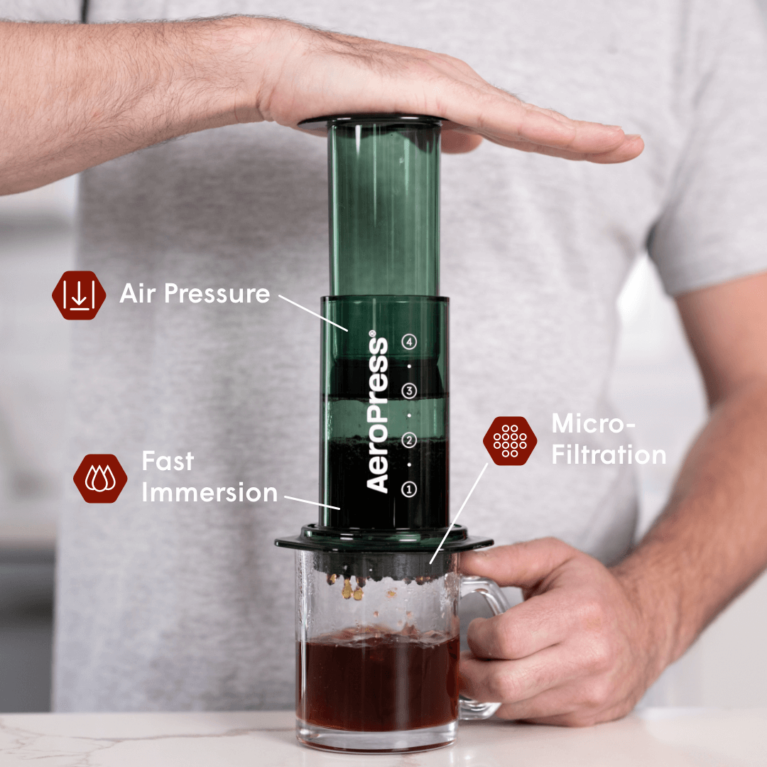 Recipe Bundle - Clear Daily Brewing Starter Kit