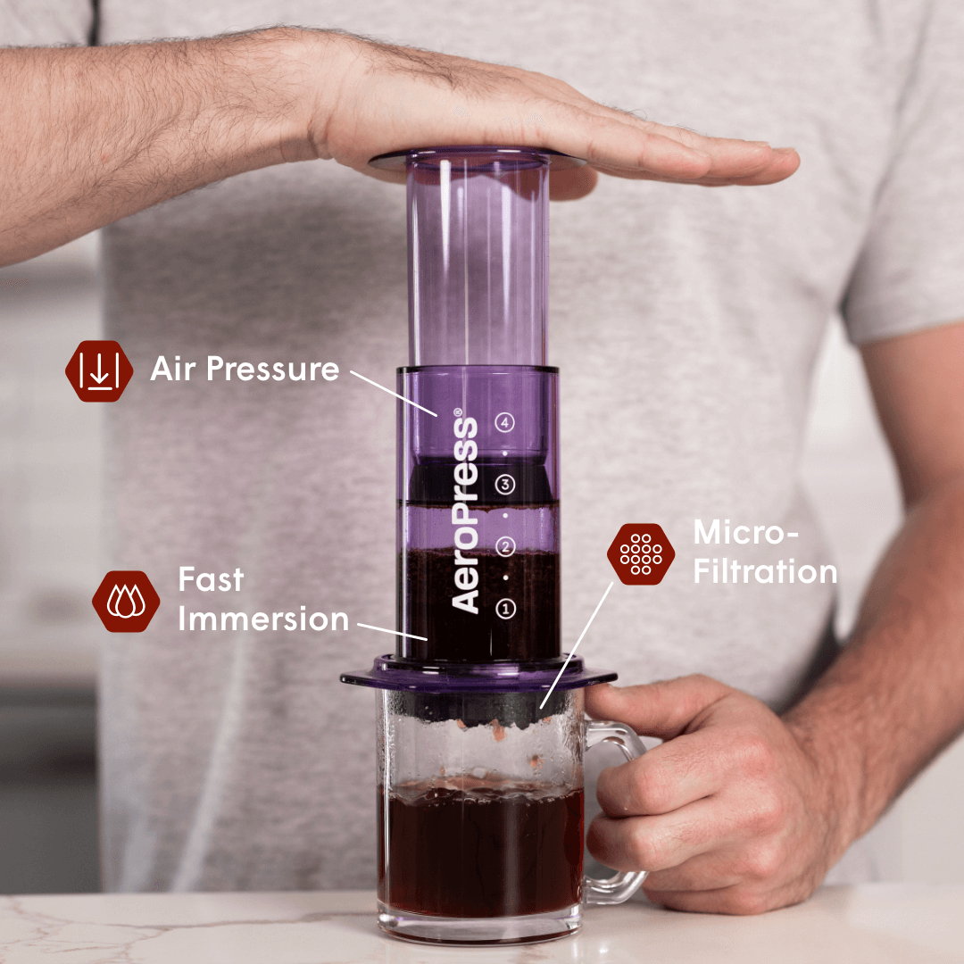 Recipe Bundle - Clear Daily Brewing Starter Kit