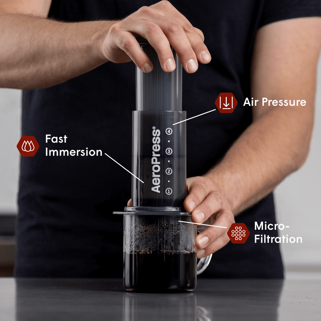 Recipe Bundle - Original Daily Brewing Starter Kit