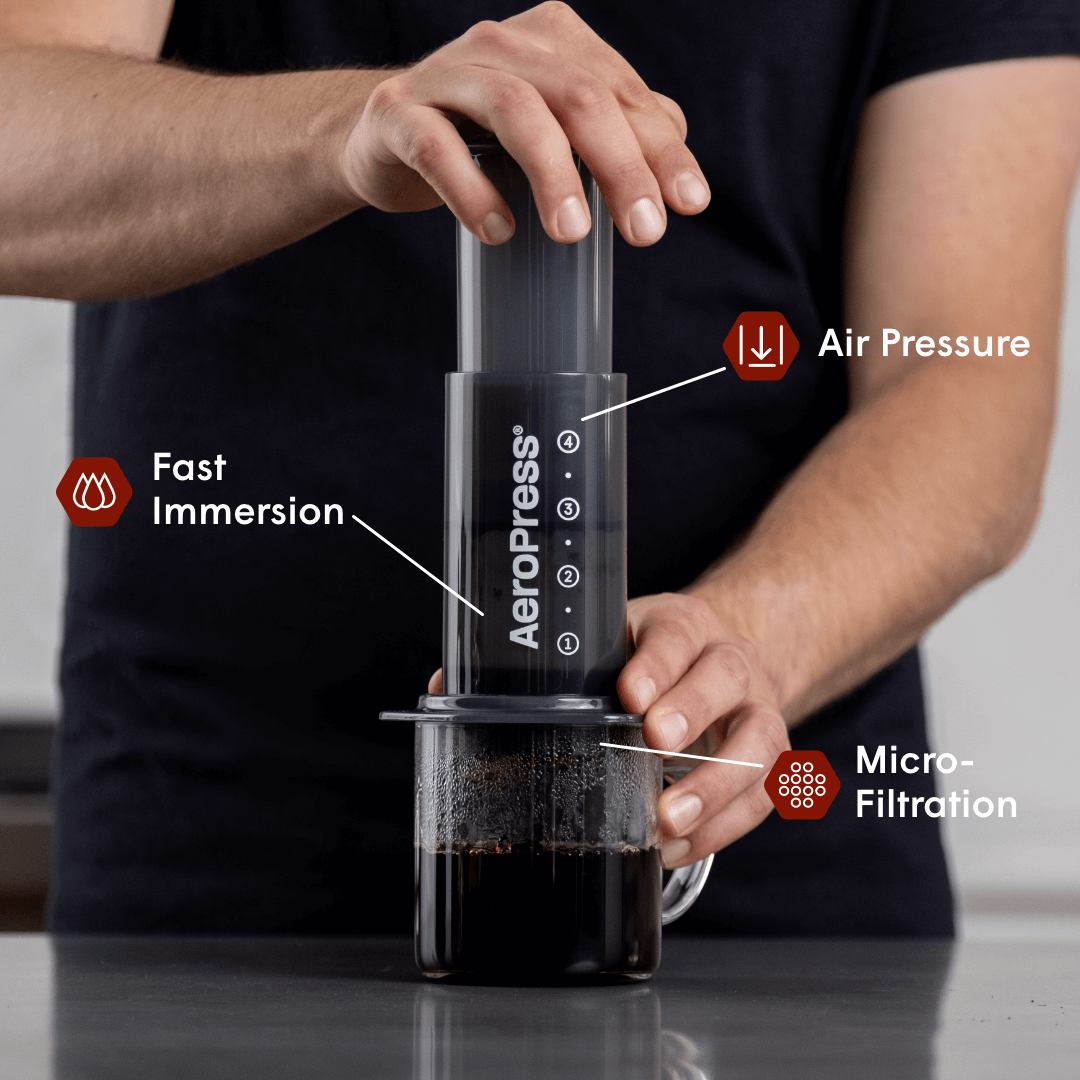 Recipe Bundle - Original Daily Brewing Starter Kit